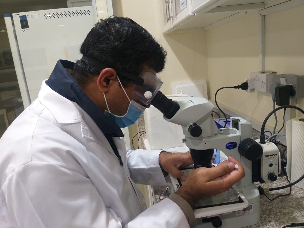 العينات والمختبر التشخيصي